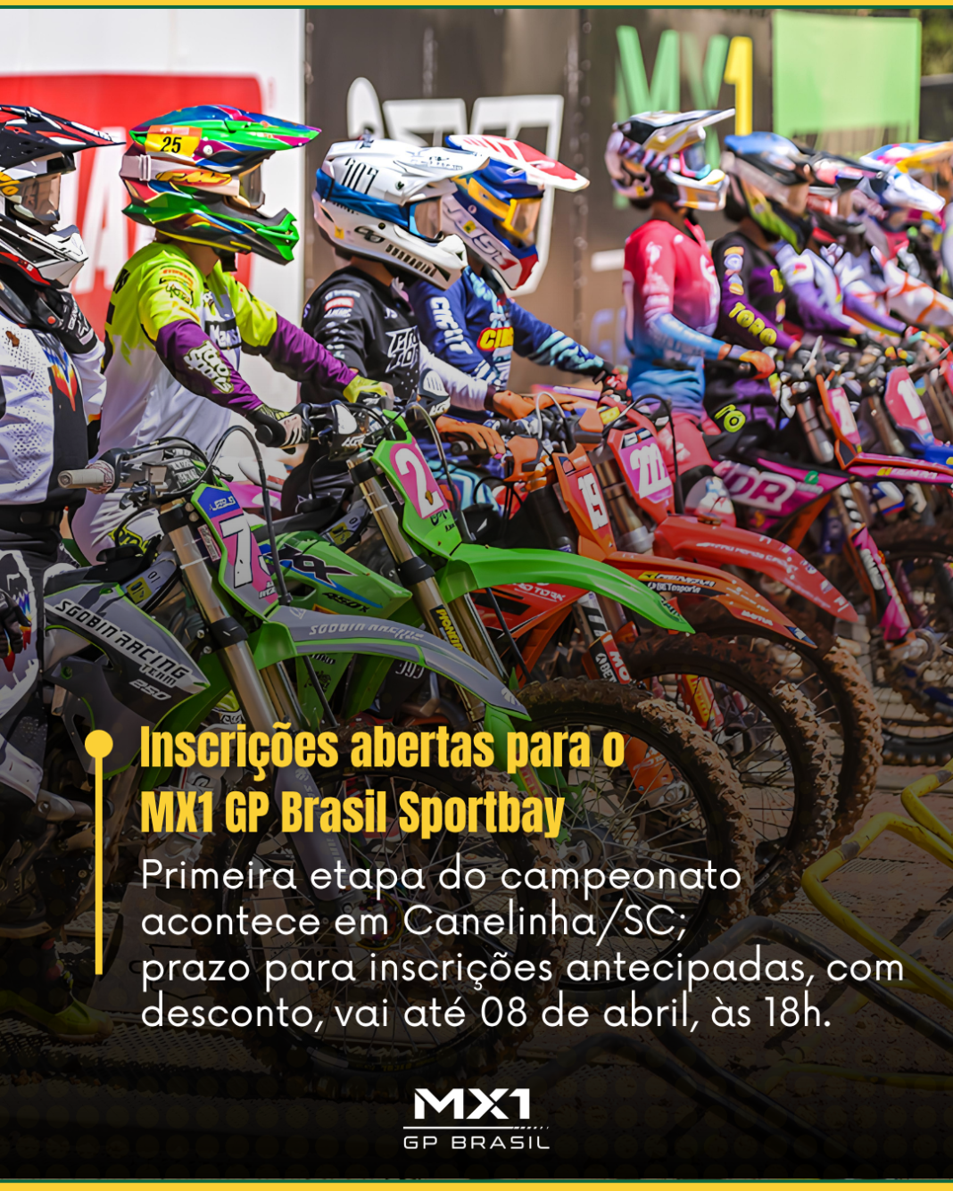 MODELO MATÉRIAS (8)